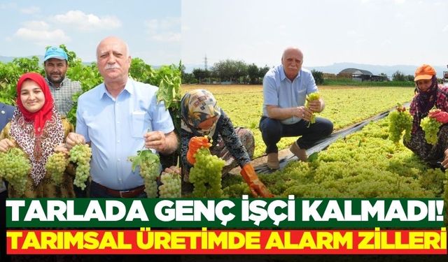 Yaş ortalaması 59’u buldu, tarlalarda genç çiftçi kalmadı!