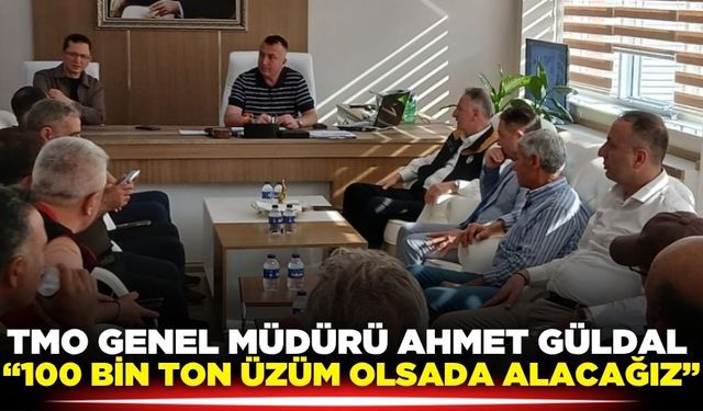 Ahmet Güldal Alaşehir’de Üzüm Alımlarını Yerinde İnceledi