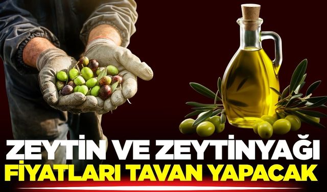 Zeytin fiyatları uçacak!