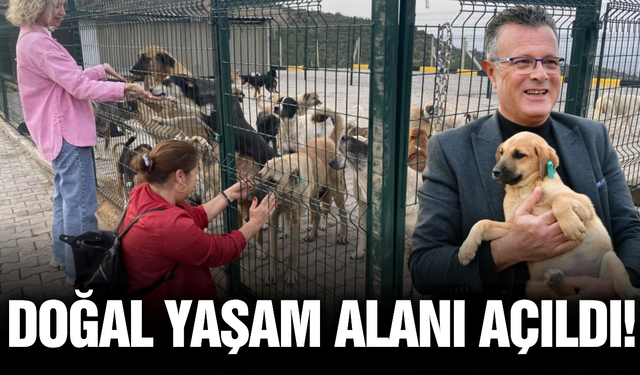 Alaşehir’de can dostları için doğal yaşam alanı hizmete açıldı