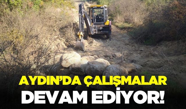 Aydın'da arazi yollarında çalışmalar sürüyor
