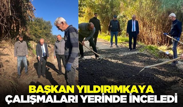 Başkan Yıldırımkaya, çalışmaları inceledi!