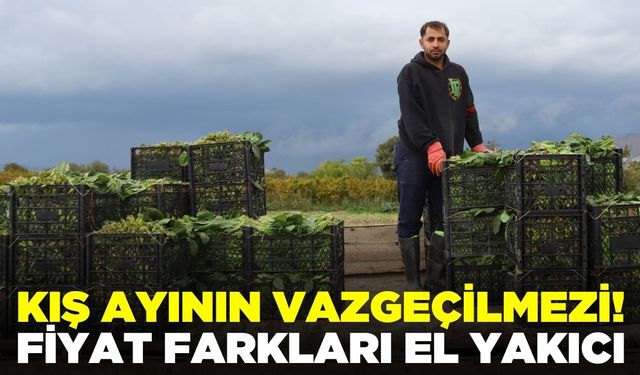 Kış aylarının vazgeçilmezi: Kilosu 6 TL