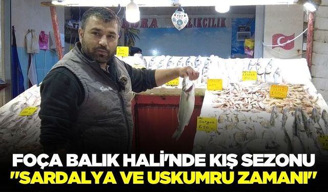 Foça Balık Hali'nde kış sezonu!
