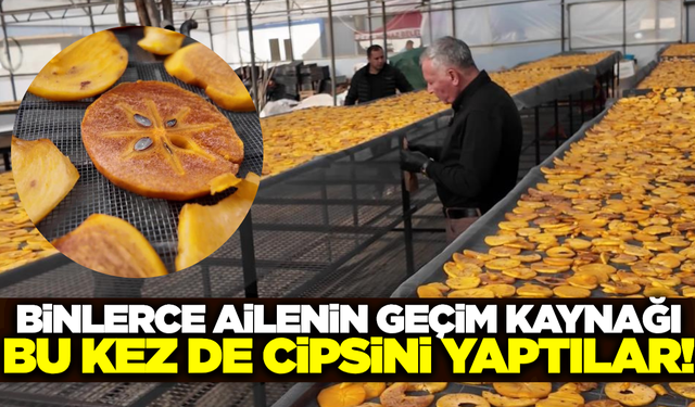 Honaz'ın meşhur lezzeti çiftçilere yeni kazanç kapısı oldu!