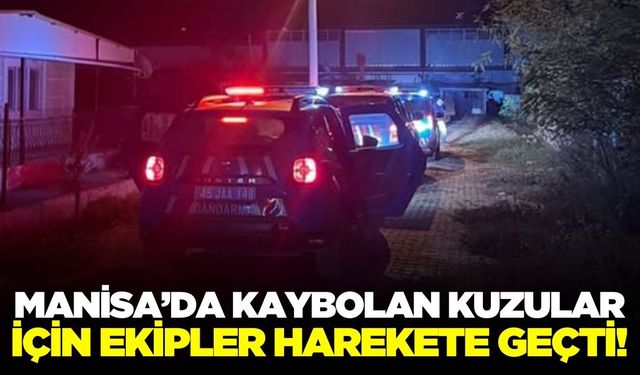 Alaşehir’de kaybolan kurbanlık kuzular ekipleri harekete geçirdi