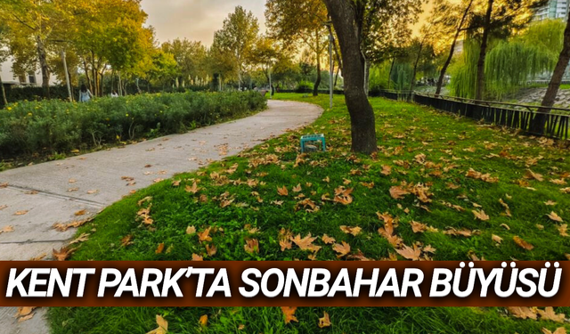 Kent Park'ta renk cümbüşü!