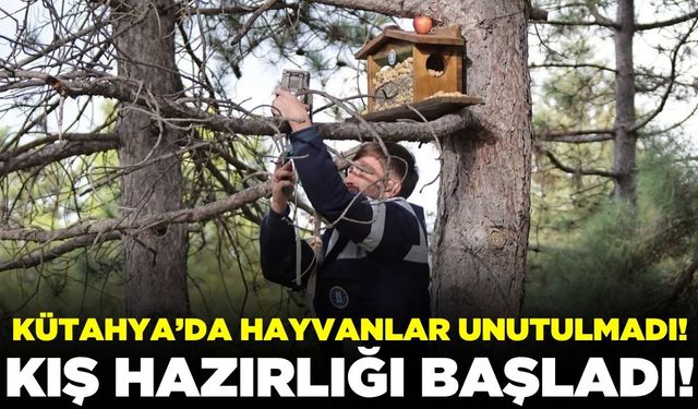 Ege'de sincap ve kuşlar için kış hazırlıkları başladı