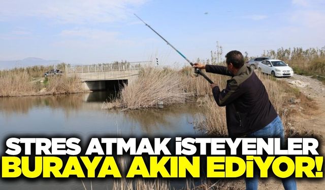 Şehir stresinden kaçmak isteyenlerin yeni gözdesi!