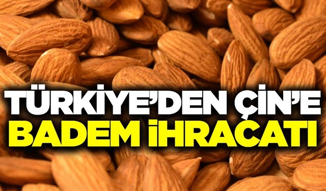 Anlaşmalar tamamlandı! Türkiye Çin'e satacak...