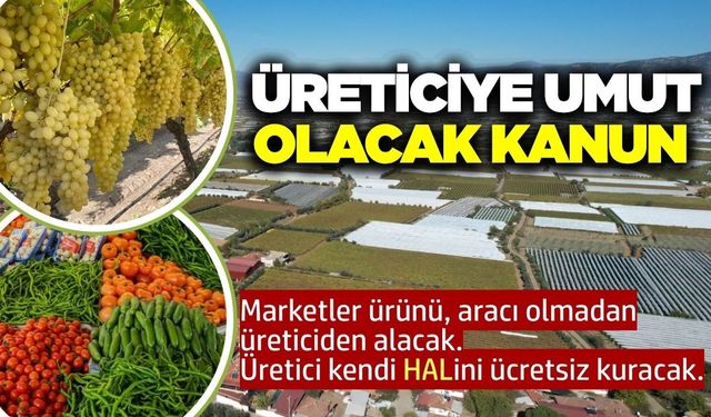Yeni hal kanunu geliyor! Üretici kendi halini kurup satış yapacak