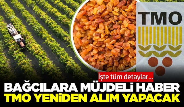 Kuru üzümde flaş gelişme: TMO yeniden alım başlatıyor