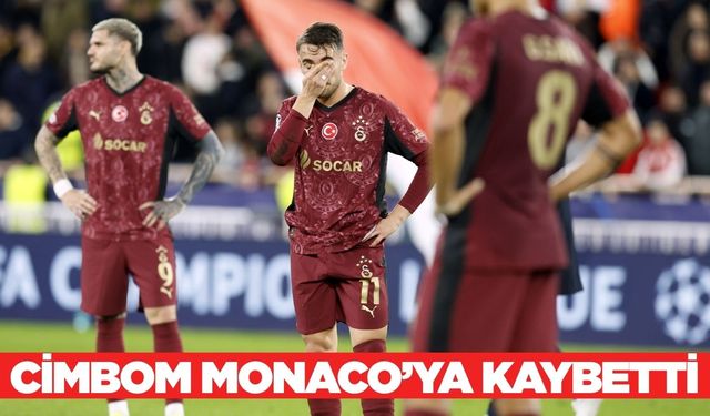 Aslan Fransa'dan boynu bükük dönüyor