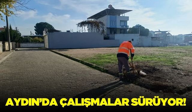 Aydın'da temizlik çalışmaları devam ediyor