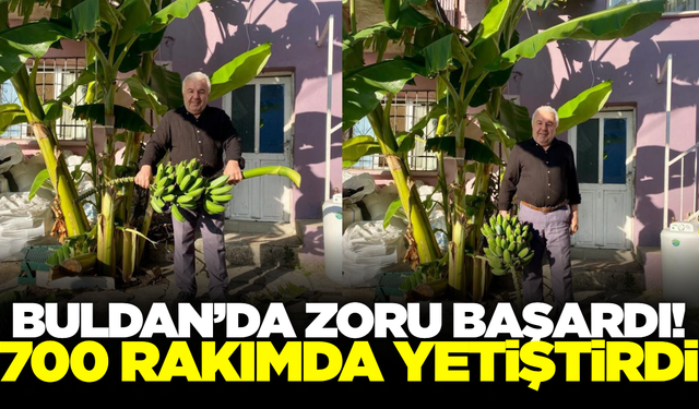 Buldanlı dokuma ustası zoru başardı: 700 rakımda muz hasadı yaptı