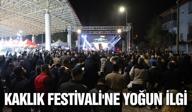 Denizli'de festival coşkusu sona erdi