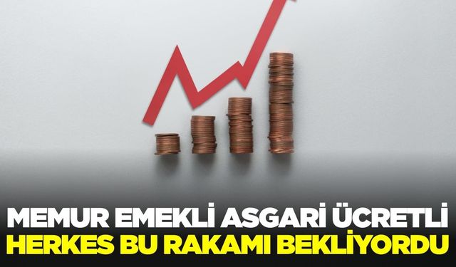 Kasım ayı enflasyon oranları açıklandı!