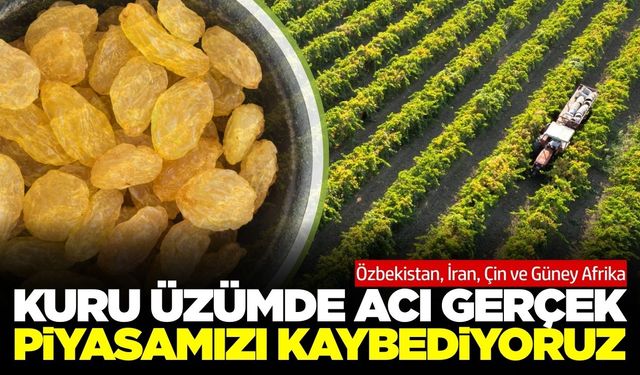 Kuru üzüm alarm veriyor: Piyasayı kaybediyoruz