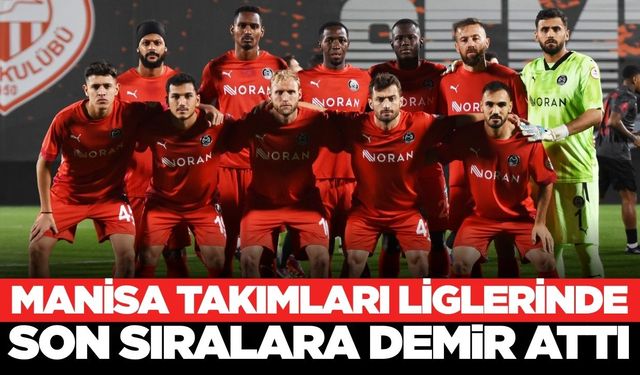 Manisa'nın profesyonel lig temsilcileri düşme potasında