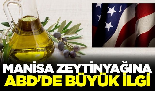 Manisa'nın zeytinyağı Amerika'da fırtına gibi esti
