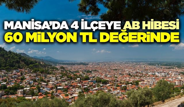Manisa'ya 60 milyon TL'lik AB hilesi