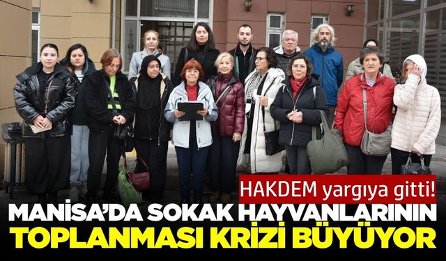 Manisa’da sokak hayvanları için hukuki mücadele başladı