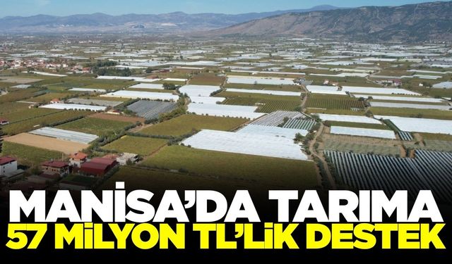 Manisa'da tarıma dev destek