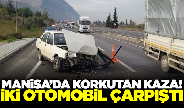 Manisa'da yola atlayan köpek kazaya neden oldu!