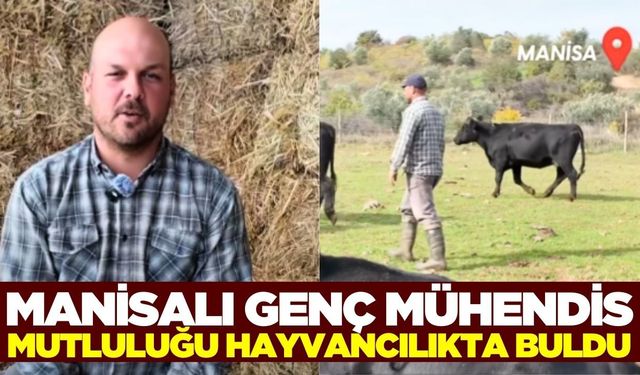 Manisalı ziraat mühendisi köyüne dönüp hayvancılığa başladı