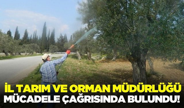 İl Tarım ve Orman Müdürlüğü, üreticileri uyardı!
