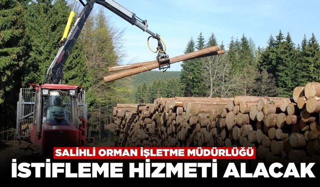 Salihli Orman İşletme Müdürlüğü Orman Emvali İstifleme Hizmeti Alacak