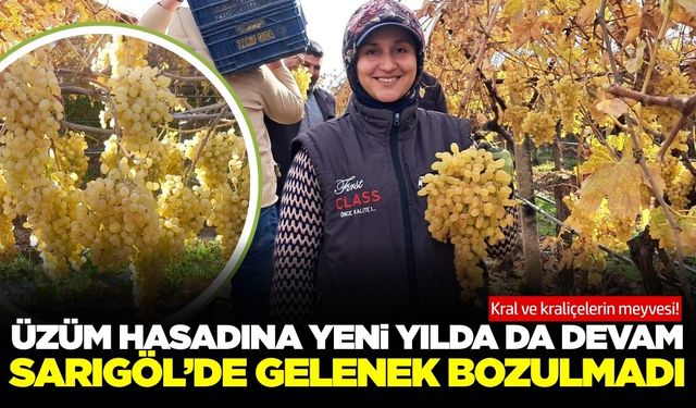 Sarıgöl üzümü yılbaşında sofraları süsleyecek