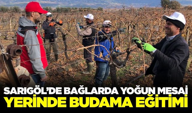 Sarıgöl'de budakçılara bağda uygulamalı eğitim