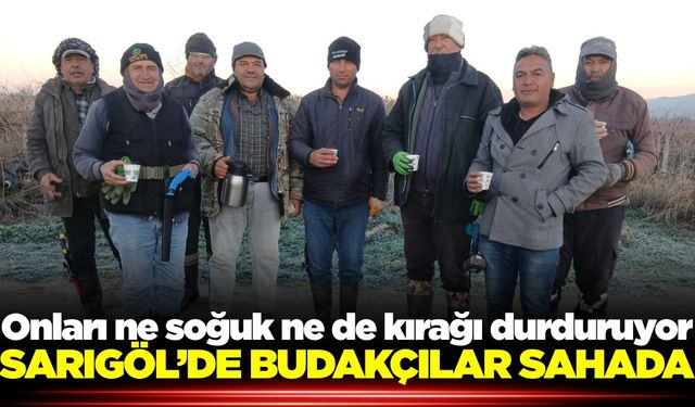 Sarıgöl'de budama ekipleri soğuğa rağmen sahada