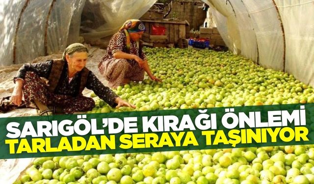 Sarıgöl'de kırağıya karşı sera önlemi