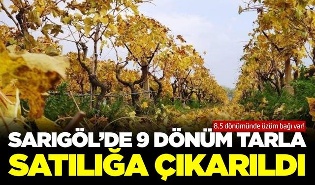 Sarıgöl'de mahkemeden satılık, üzüm bağı vasfında yaklaşık 9 dönüm tarla