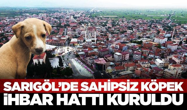 Sarıgöl'de sahipsiz köpekler için ihbar hattı kuruldu