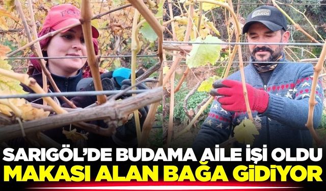 Sarıgöl'de yüksek işçi ücretleri aileleri budak işine yöneltti