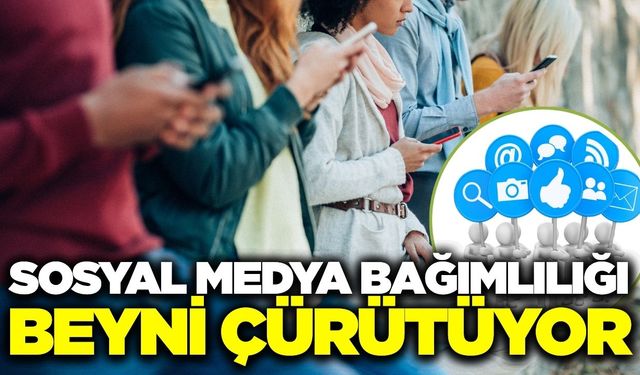 Sosyal medya bağımlılığı beyinde daralma ve işlev kaybı riskini artırıyor