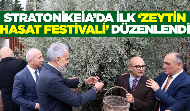 Stratonikeia Antik Kenti'nde ilk 'Zeytin Hasat Festivali' coşkusu
