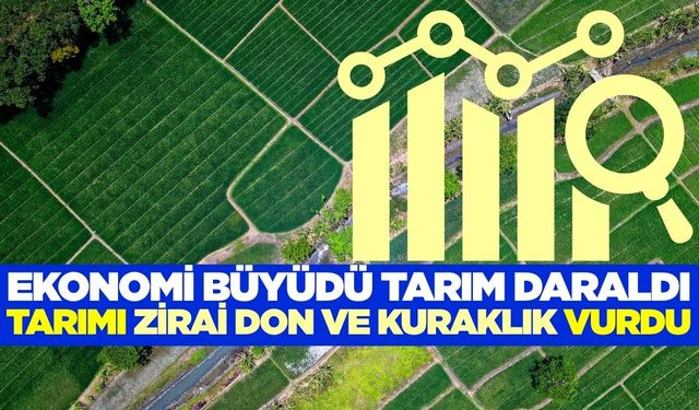 Türkiye ekonomisi büyüdü! Tarım ise geriledi