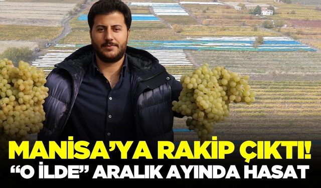 Sarıgöl üzümüne rakip! Hedef: Ocak