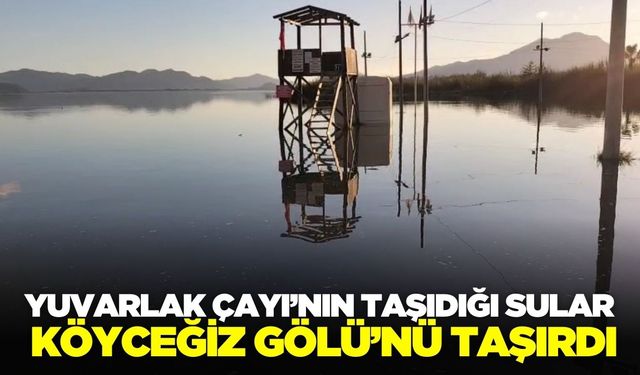 Köyceğiz Gölü’nde su seviyesi arttı!