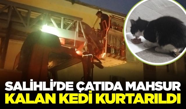 Salihli'de itfaiye ekipleri kediyi kurtardı