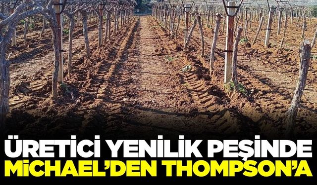 Sarıgöl'de bağcılar yenilik arıyor