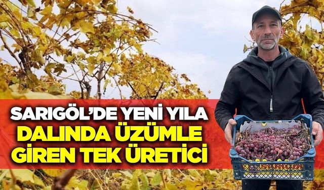 Bir tek o kalmıştı: Hasadı 2026'da tamamladı