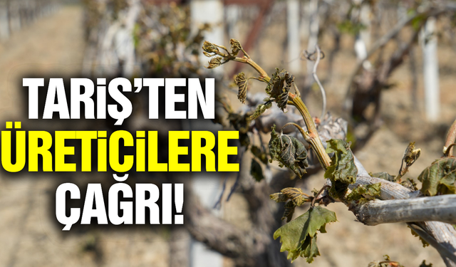 TARİŞ'ten üreticilere 'Sigorta' çağrısı!