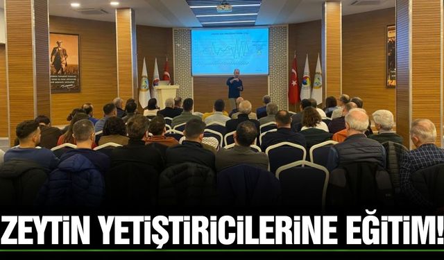 Zeytinde verimi artırmanın yolları Manisa’da anlatıldı