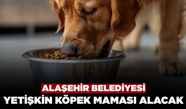 Alaşehir Belediyesi Yetişkin Köpek Maması Alacak