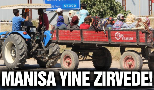 Tarımın başkenti Manisa yine zirvede!